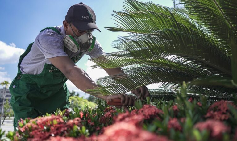 serviços-e-terceirização-de-jardinagem